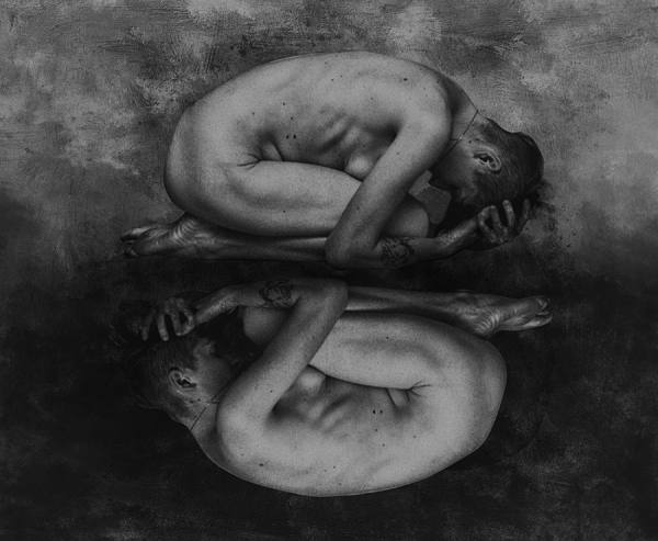 Photograph Anna Bodnar Solitude on One Eyeland